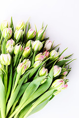 Image showing bunch of tulips