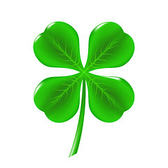 Image showing Green Clover