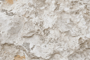 Image showing Vector Grungy White Concrete Wall Background