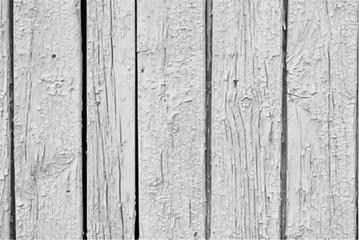 Image showing Vector Vintage  White Background Wood Wall