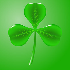 Image showing Shamrock