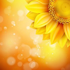 Image showing Macro SunFlower Background. EPS 10