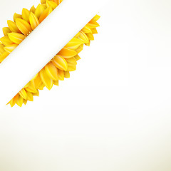 Image showing Sunflower on white background. EPS 10