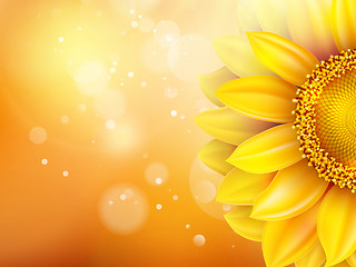 Image showing Macro SunFlower Background. EPS 10