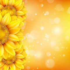 Image showing Macro SunFlower Background. EPS 10