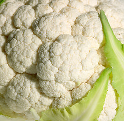 Image showing cauliflower detail