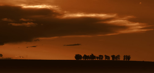 Image showing Spectacular sunset