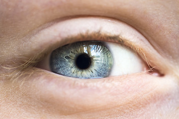 Image showing Grey human eye