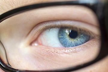 Image showing Eye in glasses