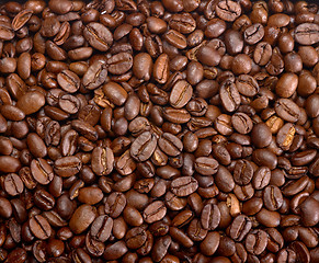 Image showing roasted coffee beans