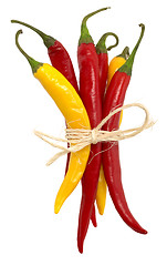 Image showing chili peppers