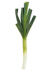 Image showing Fresh leek isolated on white