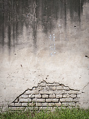 Image showing grunge wall and green grass background