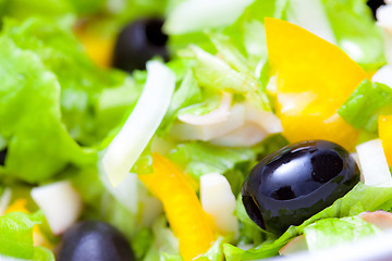 Image showing Assorted green leaf lettuce with squid and black olives