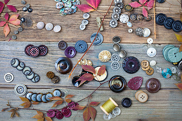 Image showing vintage buttons with dried branches