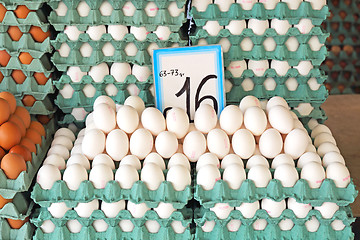 Image showing White Eggs