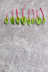 Image showing beetroot leaves