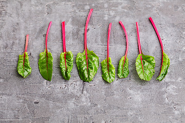 Image showing beetroot leaves