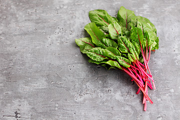 Image showing beetroot leaves