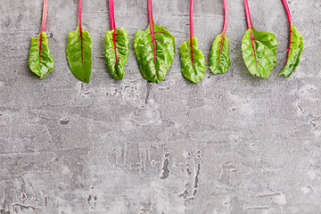 Image showing beetroot leaves