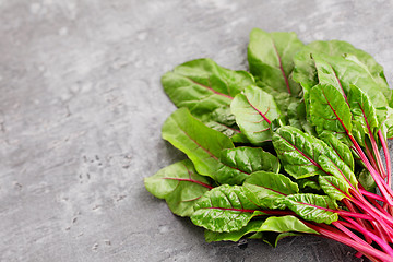 Image showing beetroot leaves