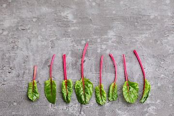 Image showing beetroot leaves