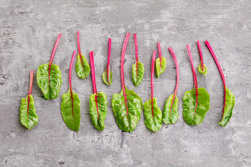 Image showing beetroot leaves
