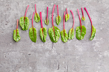 Image showing beetroot leaves