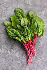 Image showing beetroot leaves