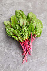 Image showing beetroot leaves