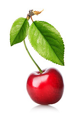 Image showing Red cherry with leaves