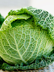 Image showing Savoy Cabbage