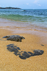 Image showing kho samui     rocks in thailand  and south china sea 