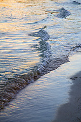 Image showing thailand kho phangan bay abstract of a gold in water  