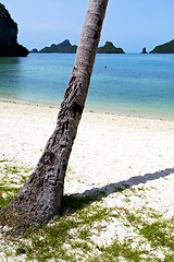 Image showing asia kho phangan bay isle white  beach  tree  rocks  