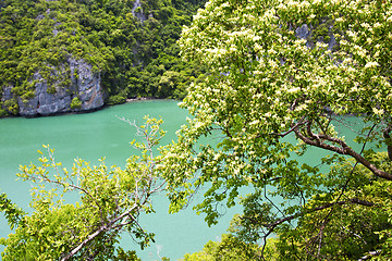Image showing   kho tao bay abstract  green lagoon and water  