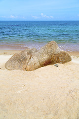 Image showing kho s  asia isle white  beach  tree  rocks in thailand   