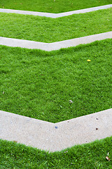 Image showing thailand asia    garden grass in the  bangkok  