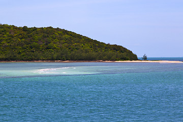 Image showing  south china   thailand kho phangan     coastline green and tree