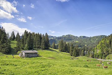 Image showing Bavaria Alps near Spitzingsee