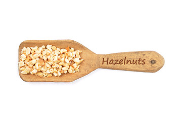 Image showing Minced hazelnuts on shovel