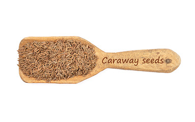 Image showing Caraway seeds on shovel