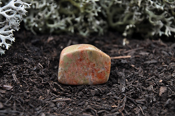 Image showing Unakite on forest floor