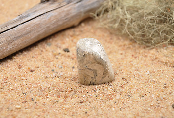 Image showing Jasper on beach