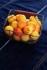 Image showing fresh apricots