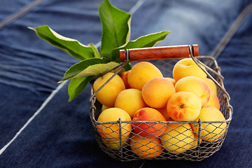 Image showing fresh apricots