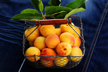 Image showing fresh apricots