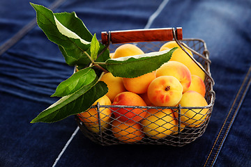 Image showing fresh apricots