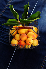 Image showing fresh apricots