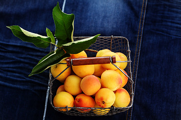 Image showing fresh apricots